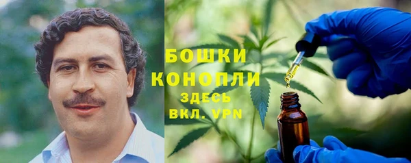 меф Кинешма