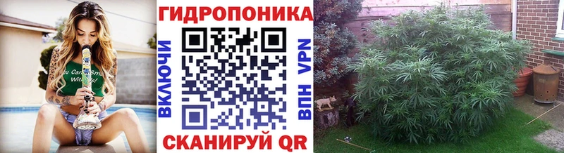 Купить  Афипский  Бошки Шишки планчик 
